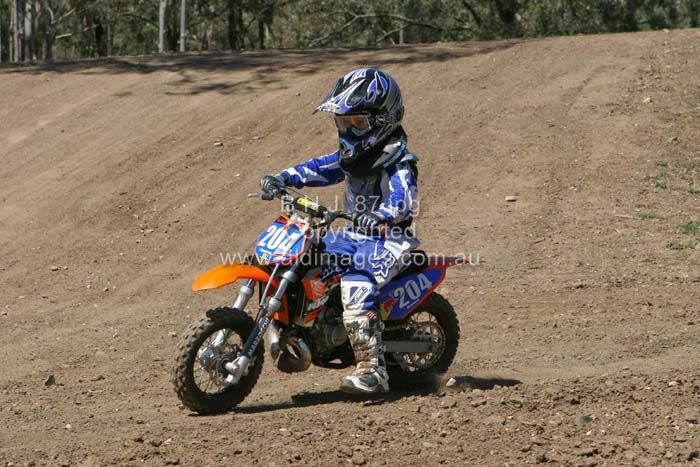 678x444 pixels (80K)